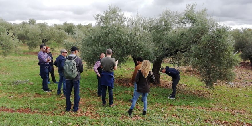 WhatsApp-Image-2022-11-17-at-13