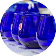 Material exclusivo Material exclusivo